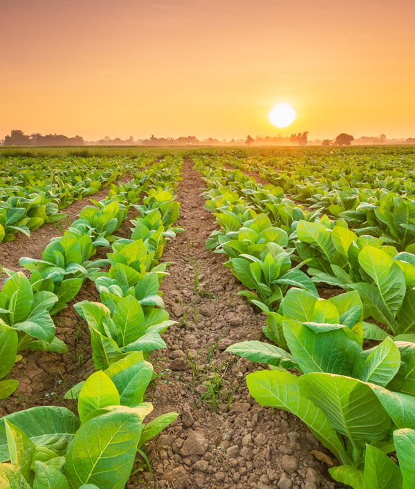 Beauty & Personal Care